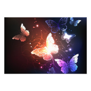 Glowing Night Butterflies Photo Print