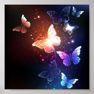 Glowing Night Butterflies Poster