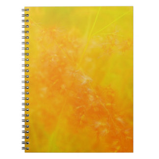 Glowing Orange Notebook
