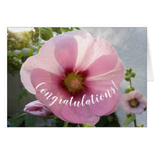 Glowing Pink Hollyhock Flower Congratulations Card