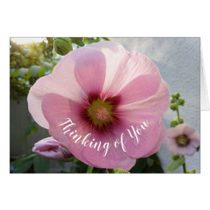 Glowing Pink Hollyhock Flower Thinking of You Card