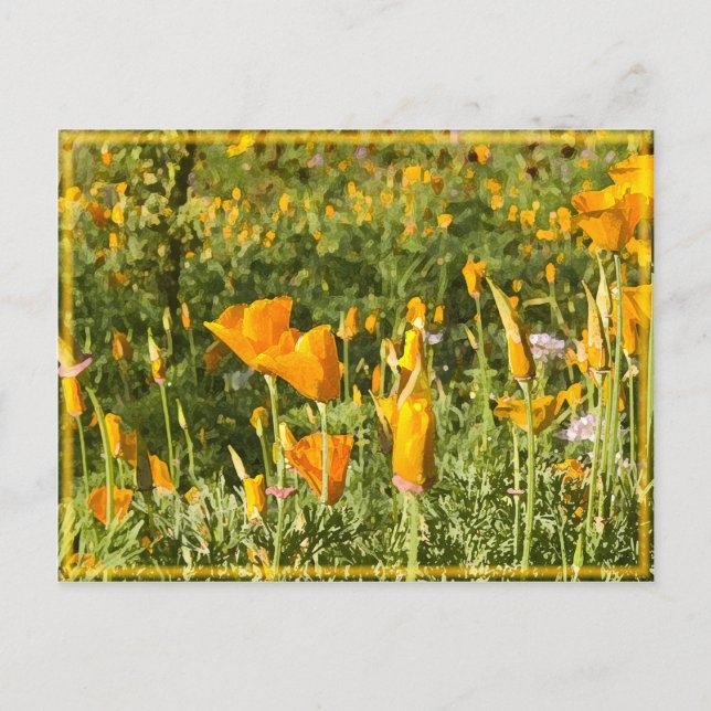 Glowing Poppy Patch Postcard (Front)