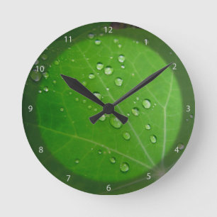 Glowing Raindrops on nasturtium leaf Round Clock