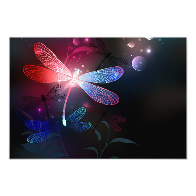 Glowing red dragonfly photo print (Front)