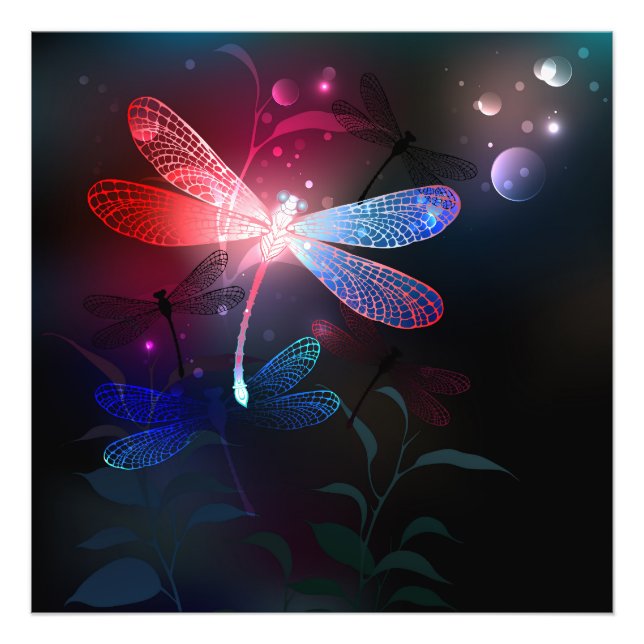 Glowing red dragonfly photo print (Front)