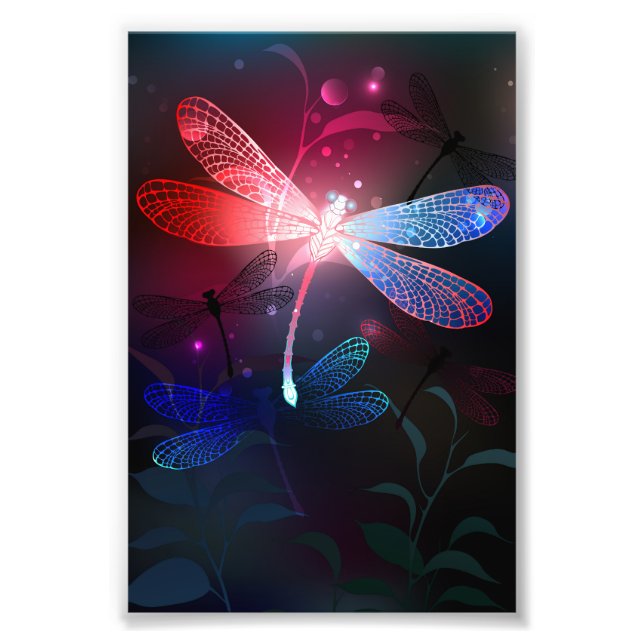 Glowing red dragonfly photo print (Front)