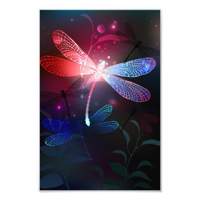 Glowing red dragonfly photo print (Front)