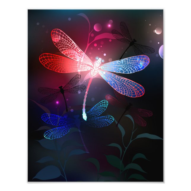 Glowing red dragonfly photo print (Front)