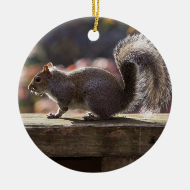 Glowing Squirrel Ceramic Tree Decoration (Front)