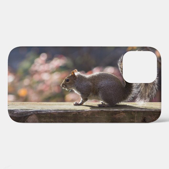 Glowing Squirrel iPhone Case (Back (Horizontal))