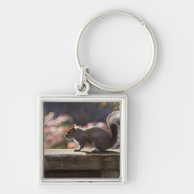 Glowing Squirrel Key Ring (Front)