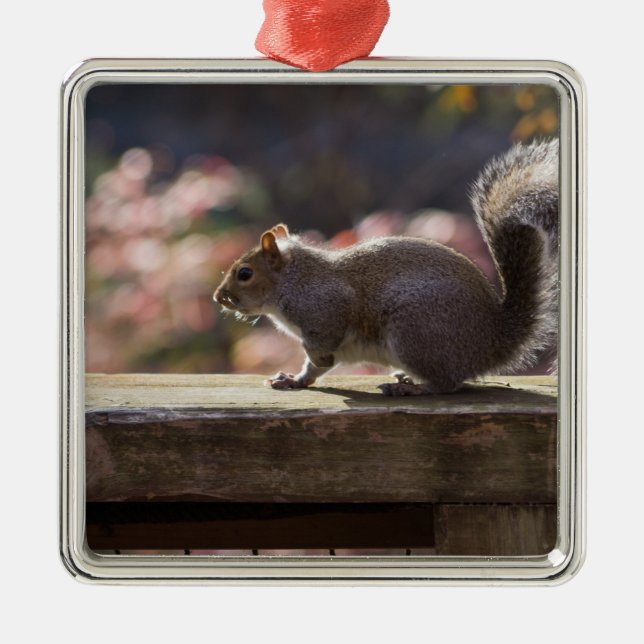 Glowing Squirrel Metal Tree Decoration (Front)