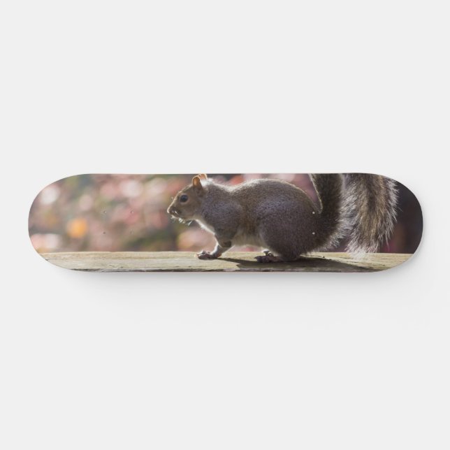 Glowing Squirrel Skateboard (Horz)