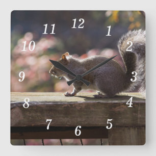 Glowing Squirrel Wall Clock