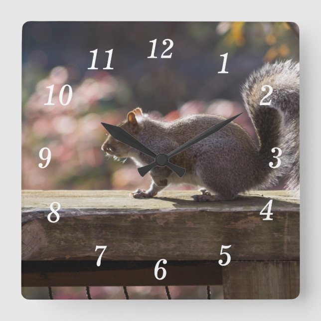Glowing Squirrel Wall Clock (Front)