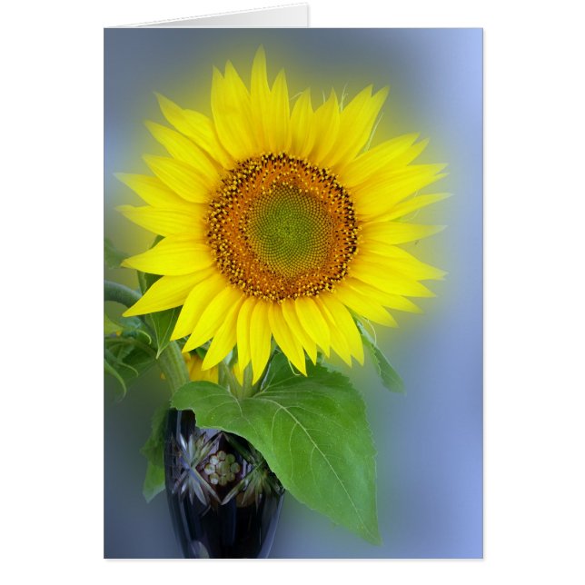 glowing sunflower (Front)
