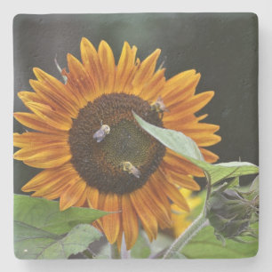 Glowing Sunflower Stone Coaster