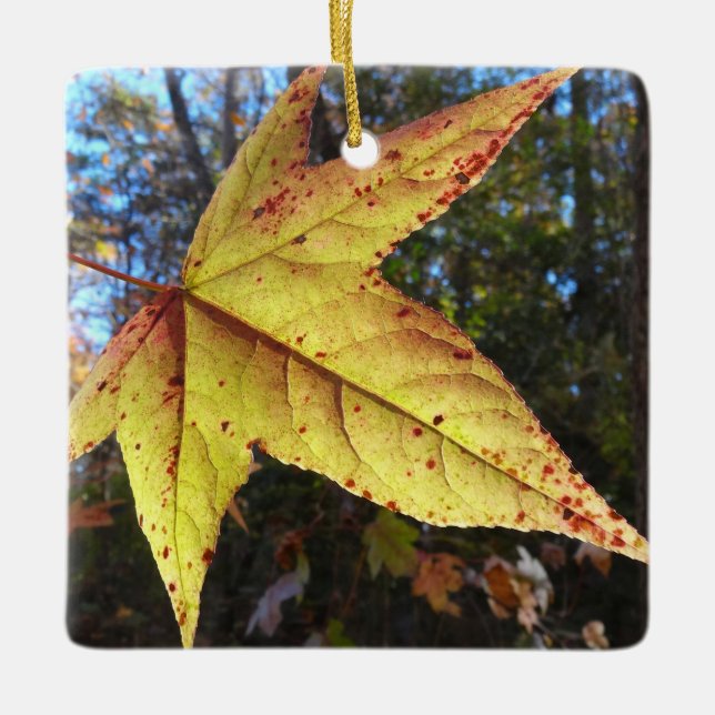 Glowing Sweetgum Leaf in the Forest Ceramic Ornament (Front)