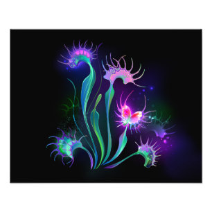 Glowing Venus Flytrap Photo Print