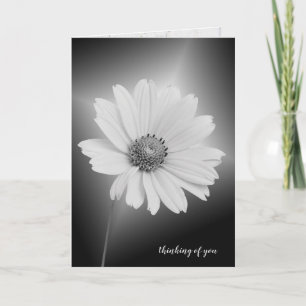 glowing white cosmos thinking of you card