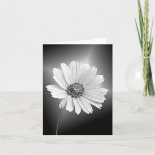 glowing white daisy note card