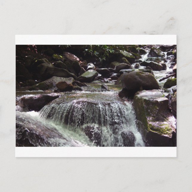 Glyphosate-Free Tennessee Christmas Postcard (Front)