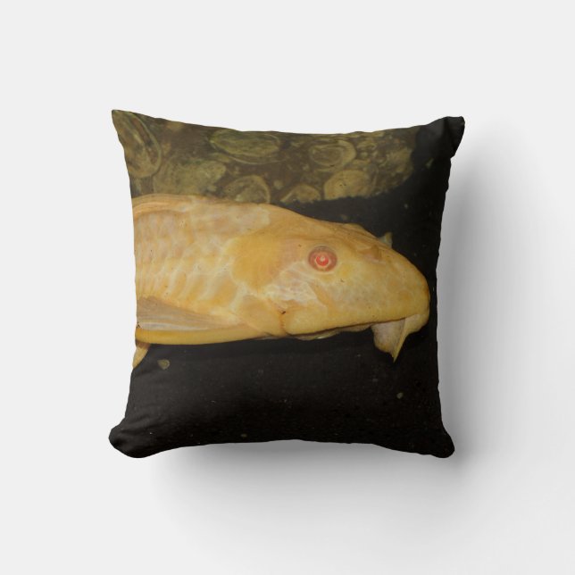 Glyptoperichthys gibbiceps cushion (Front)
