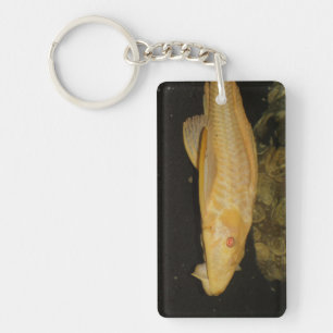 Glyptoperichthys gibbiceps key ring