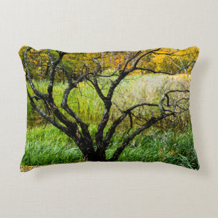 Gnarled Autumn Karelian Birch Tree Decorative Cushion