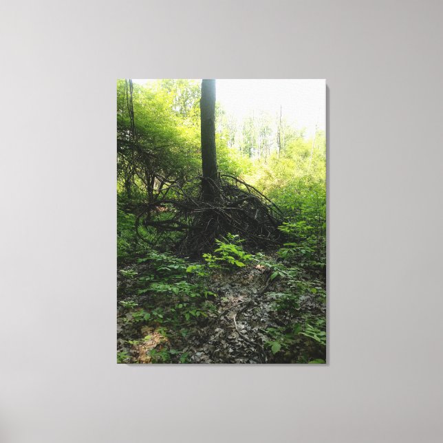 Gnarled Tree Base Canvas Print (Front)