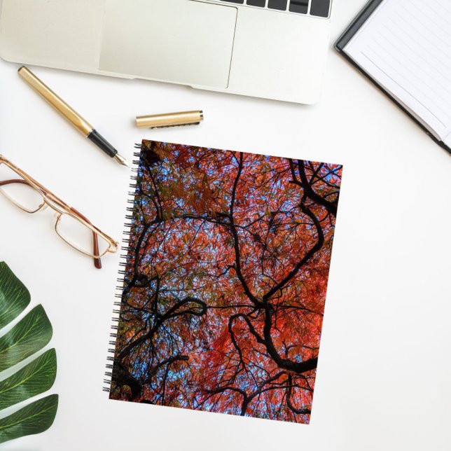 Gnarly Autumn Japanese Maple Tree Branches Photo Notebook (In Situ)