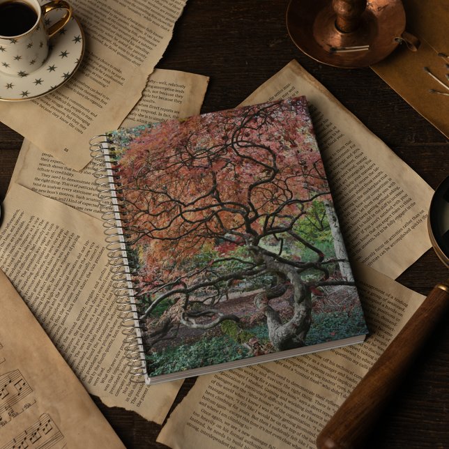 Gnarly Twisted Japanese Maple Tree Notebook (In Situ)
