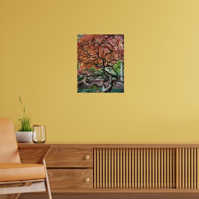 Gnarly Twisted Japanese Maple Tree Photo Poster (Living Room 2)