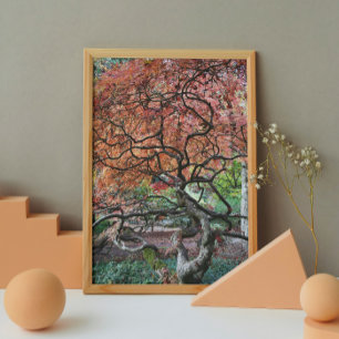Gnarly Twisted Japanese Maple Tree Poster