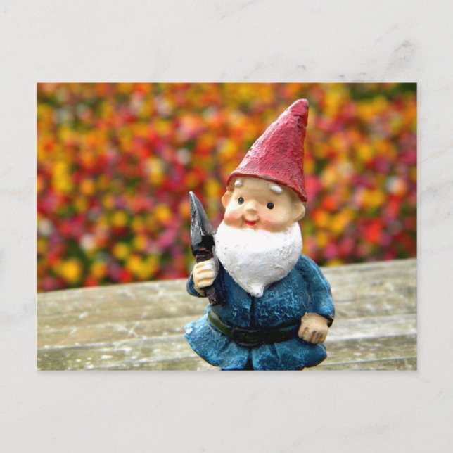 Gnome Field II Postcard (Front)