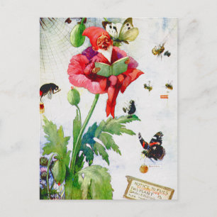 Gnome in a poppy flower postcard