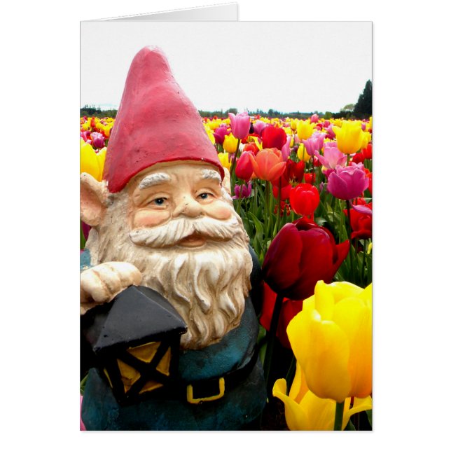 Gnome Petals (Front)