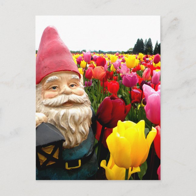 Gnome Petals Postcard (Front)