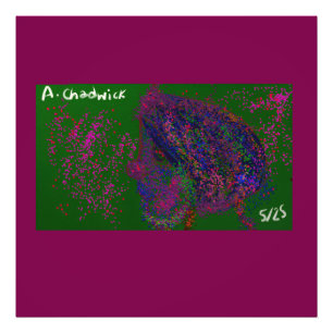 Gnome Quilted Pattern  Photo Print