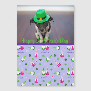 Gnome Toss St. Patrick's Day