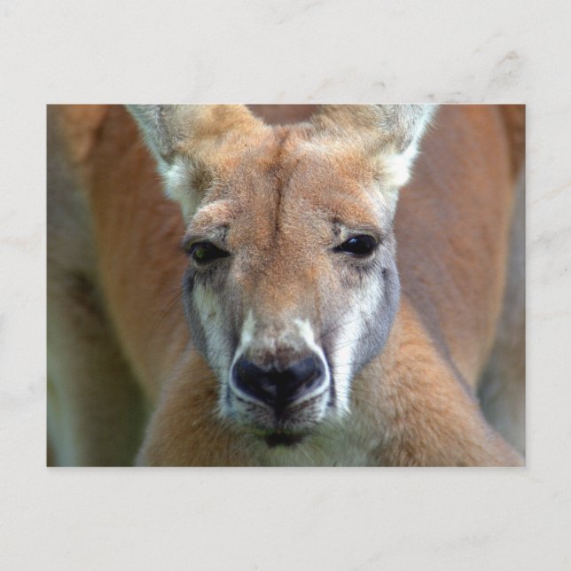 go away postcard (Front)