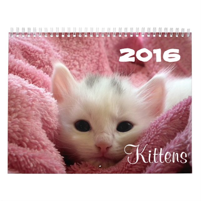 Go Cute ~ Go Kittens 2016 Calendar (Cover)