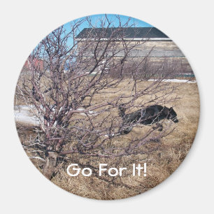 Go For It! Magnet