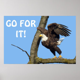 Go For It! Poster