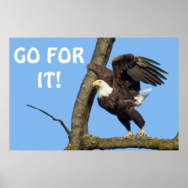 Go For It! Poster (Front)