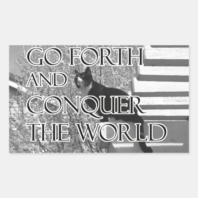 Go Forth and Conquer Motivational Cat Rectangular Sticker (Front)