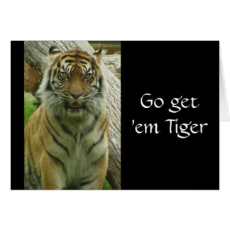 Go get 'em Tiger