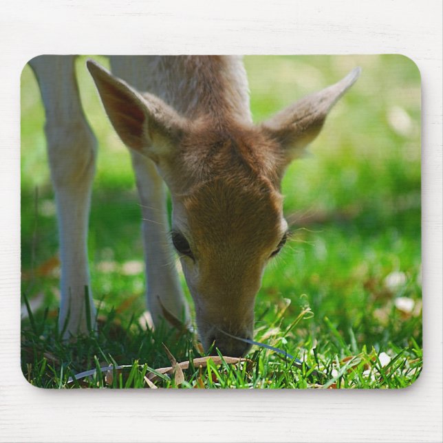 Go green for Deer Antelope Mouse Mat (Front)