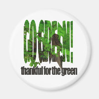 Go Green Old Tree Thick Branches Green And Sun