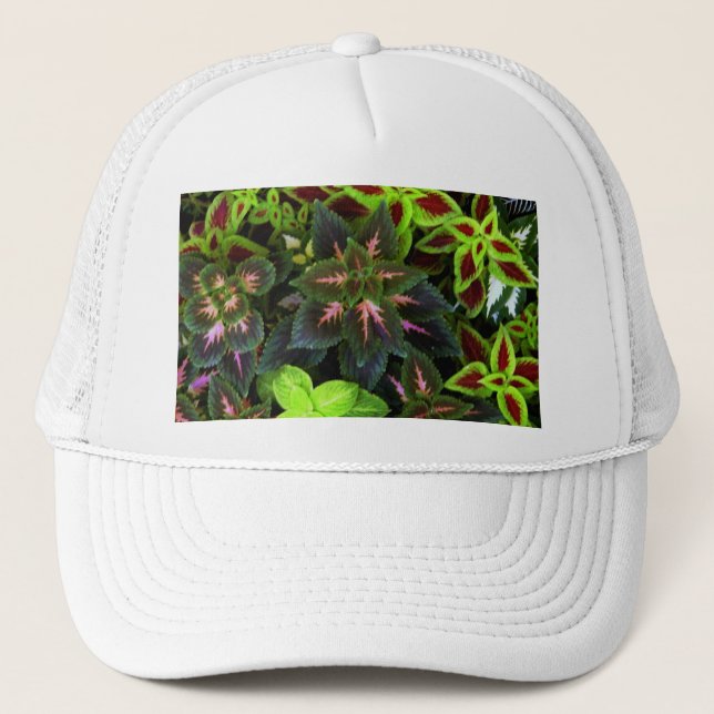 Go Green_ Trucker Hat (Front)